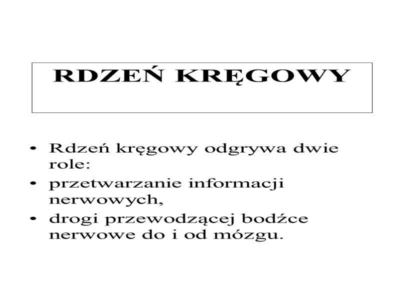 RDZEŃ KRĘGOWY  Rdzeń kręgowy odgrywa dwie role: przetwarzanie informacji nerwowych, drogi przewodzącej bodźce